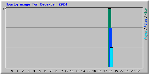 Hourly usage for December 2024