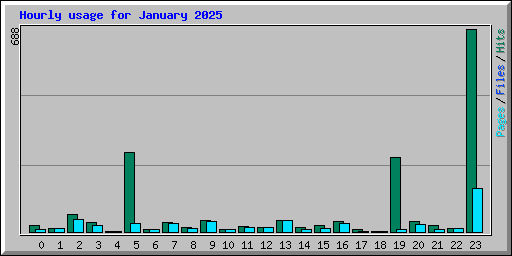 Hourly usage for January 2025