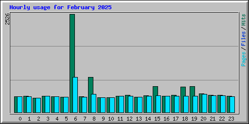Hourly usage for February 2025